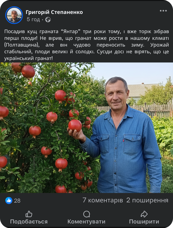 Заголовок
