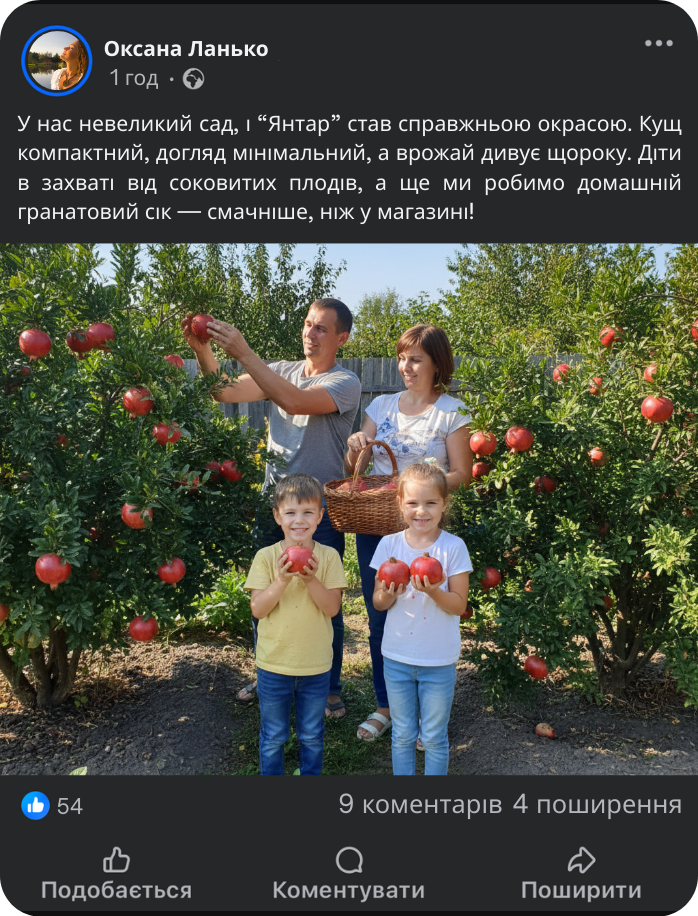 Заголовок