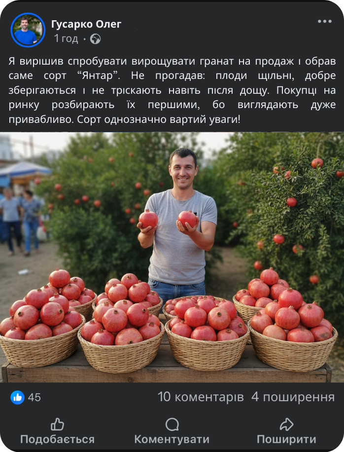Заголовок